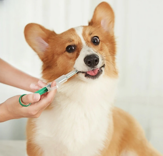 Easy Pet Medicine Feeding Syringe
