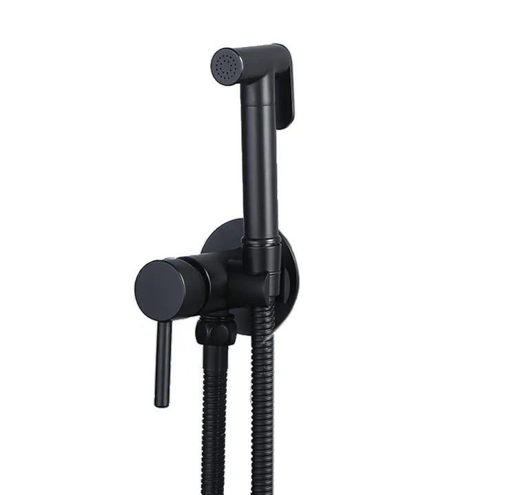 Always Clean Wall Mounted Bidet Spray Faucet Set