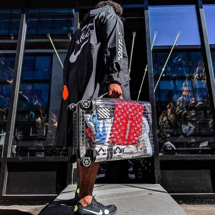 Transparent Traveler Luggage