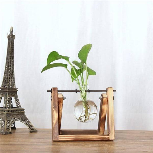 Creative Transparent Wooden Vase Decoration